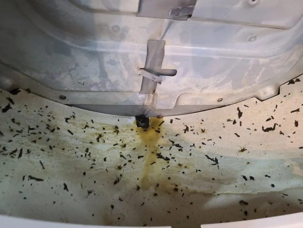 분당 식당 에어컨 청소 여기서 해야 하는 이유