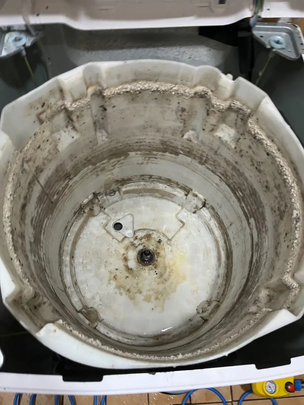 출산 전 반드시 세탁기 내부 확인하세요. 성동구 세탁기 분해청소 라온케어입니다. 사진 2