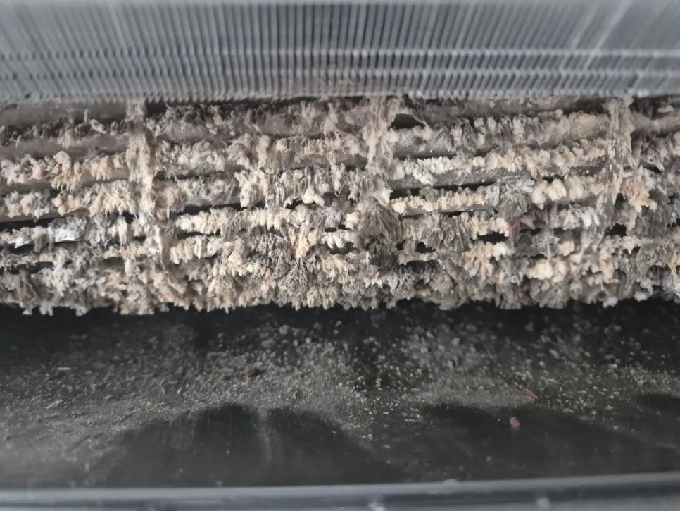 에어컨에서 반려동물 냄새가...?!! 인천 에어컨 분해청소 라온케어가 해결해드리겠습니다.